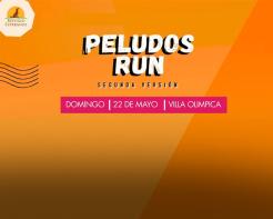 Peludos Run