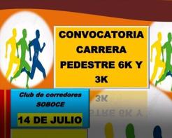 Carrera Pedestre 6k -3k