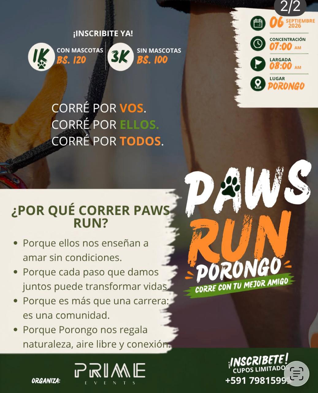 Paws Run Porongo