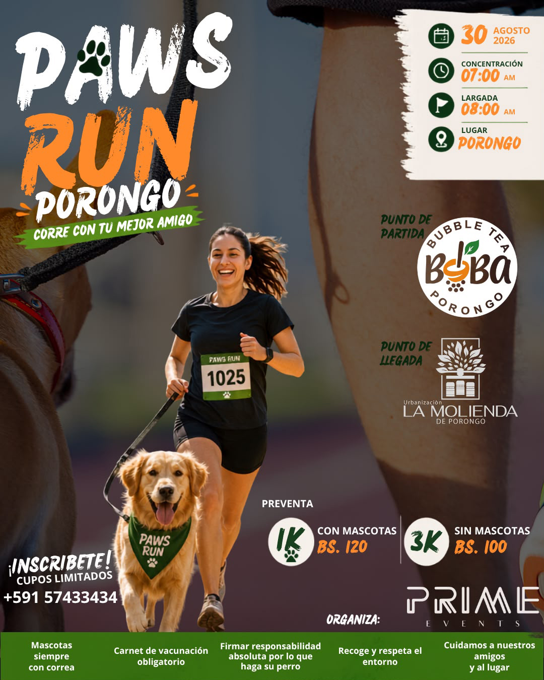 Paws Run Porongo